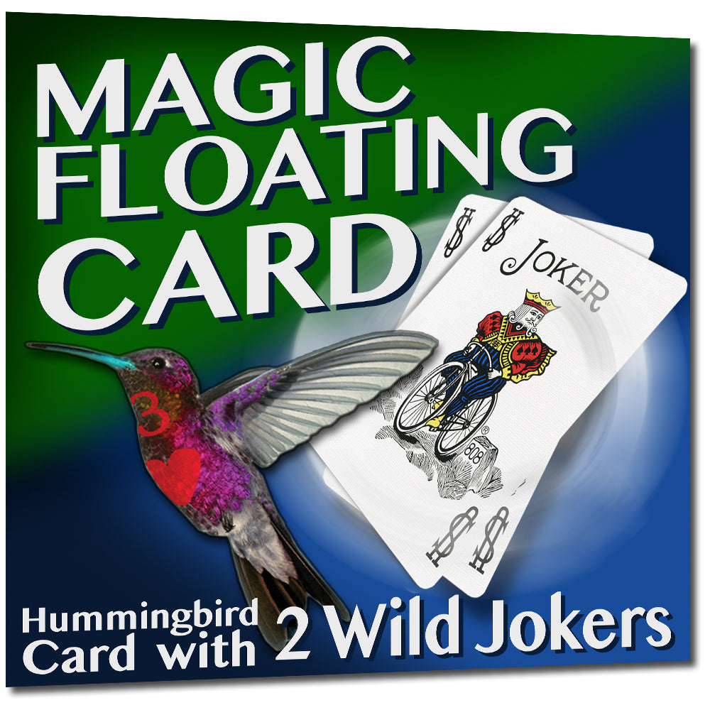 Hummingbird Card with Online Learning