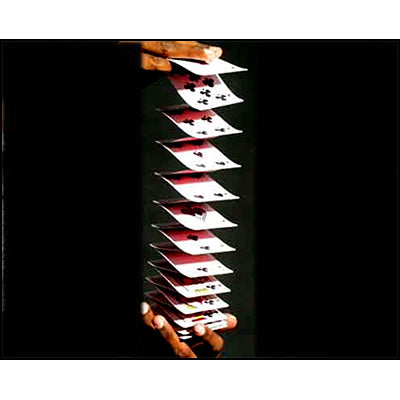 Accordion Cards By Uday