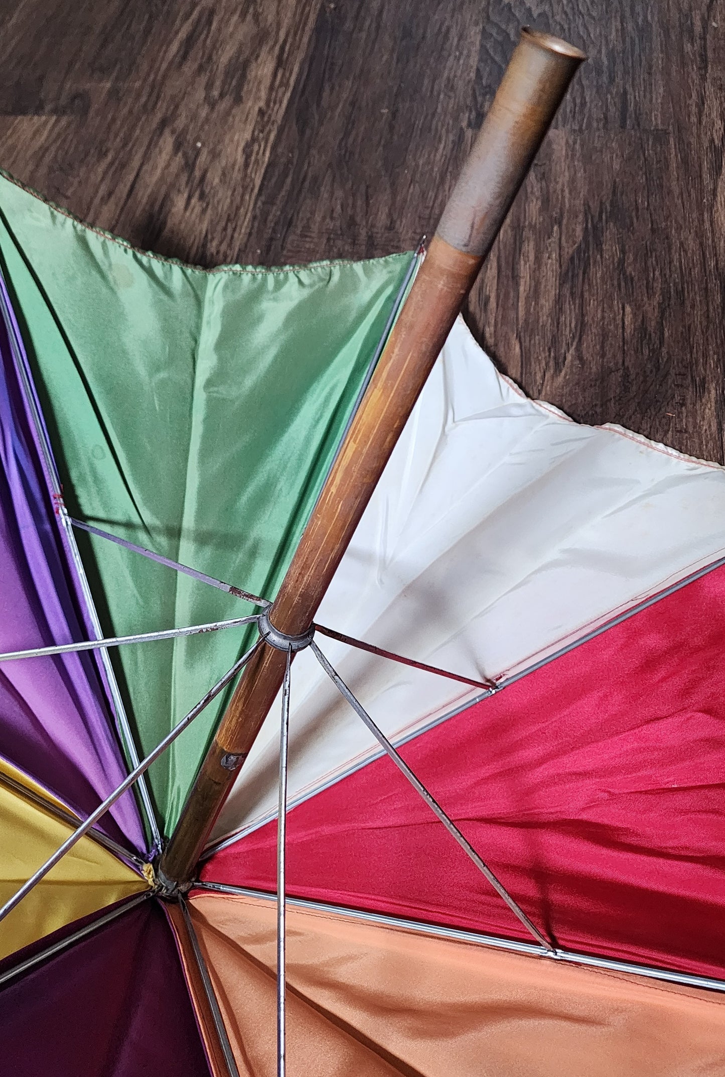 Mutilated Parasol by Abbotts