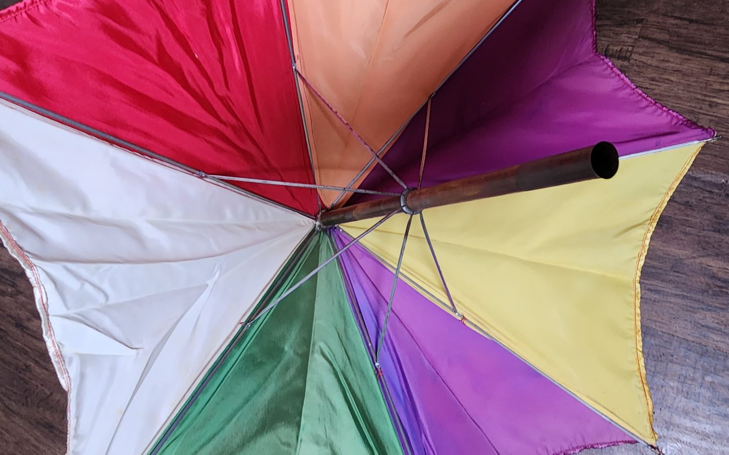 Mutilated Parasol by Abbotts