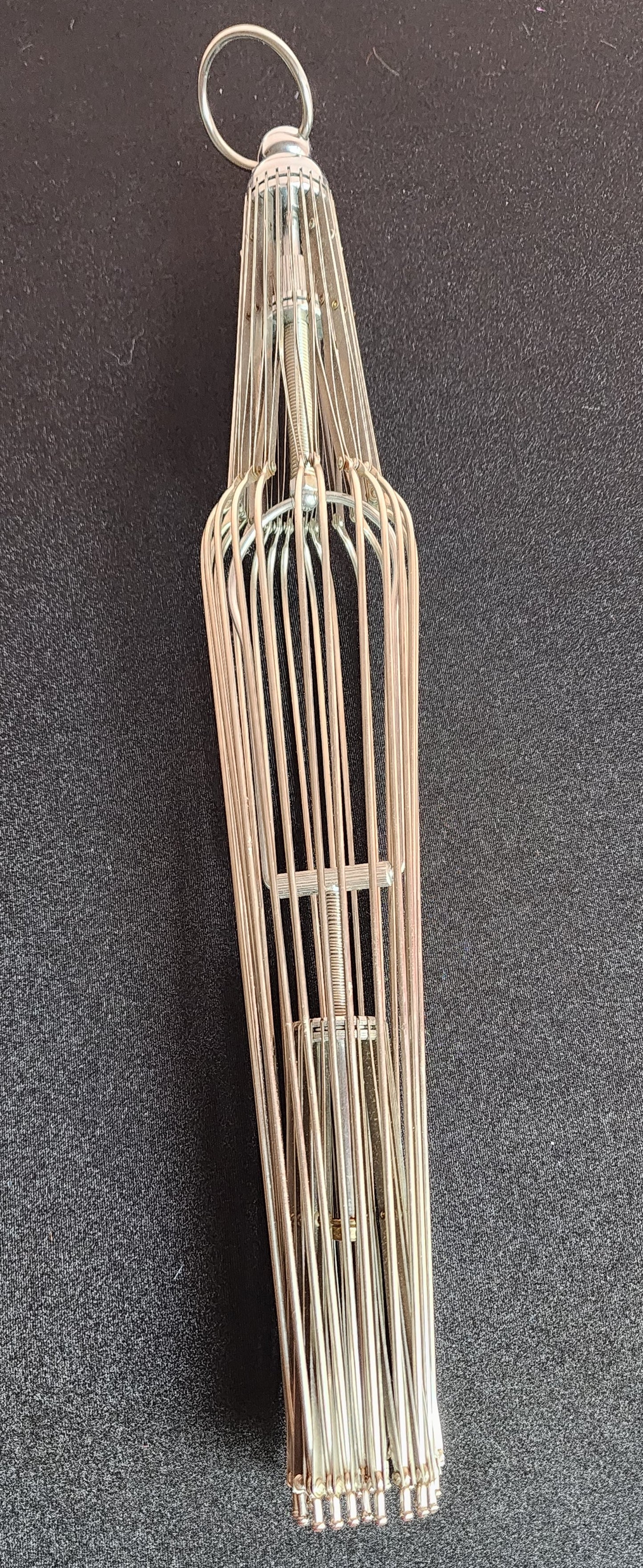 Appearing Bird Cage