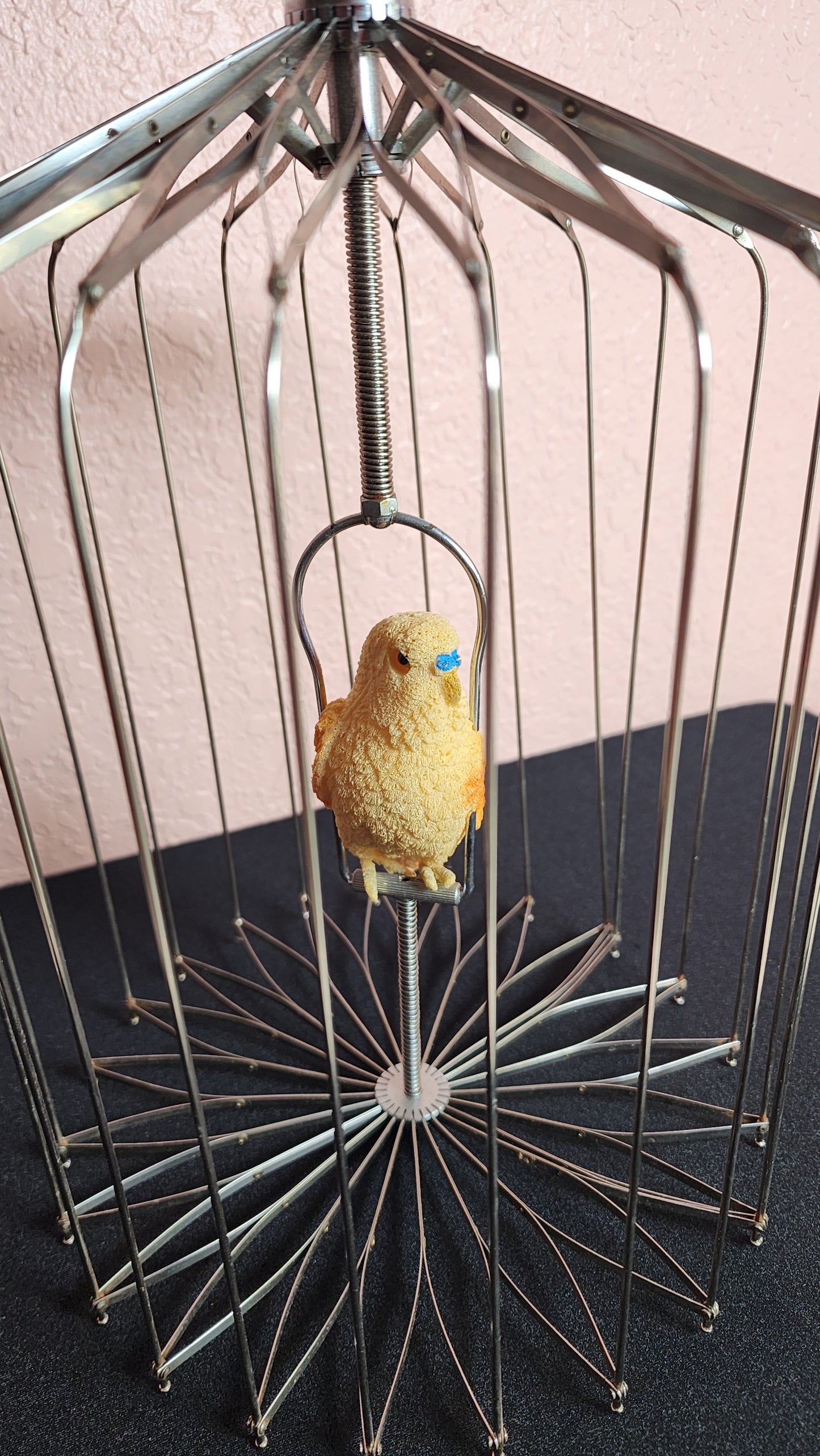 Appearing Bird Cage