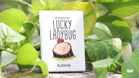 Lucky Ladybug by Joshua Ray & Deuce Gala Magic (Gimmicks and Online Instructions)