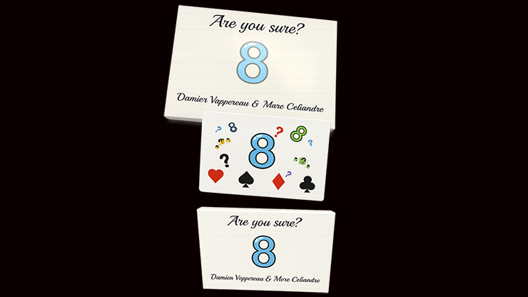 Are You Sure? by Damien Vappereau and Marc Céliandre