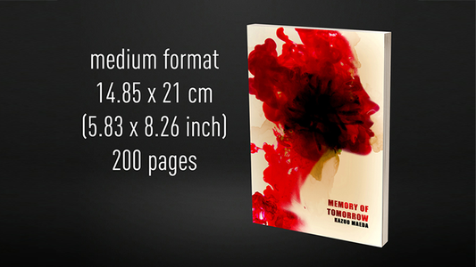 Babel Book Test 4 by Vincent Hedan (Memory of Tomorrow), medium, 600 pages