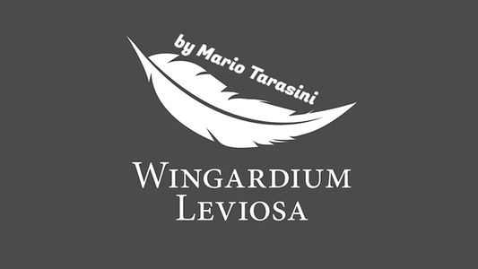 Wingardium Leviosa by Mario Tarasini download
