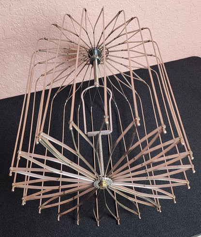 Appearing Bird Cage