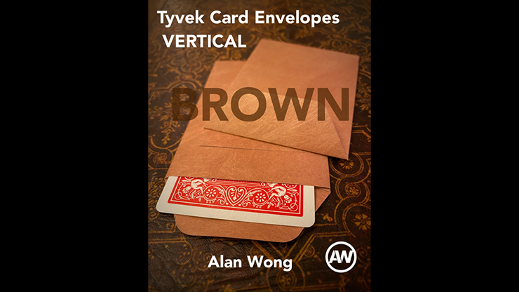 Tyvek VERTICAL Envelopes BROWN (10 pk.) by Alan Wong